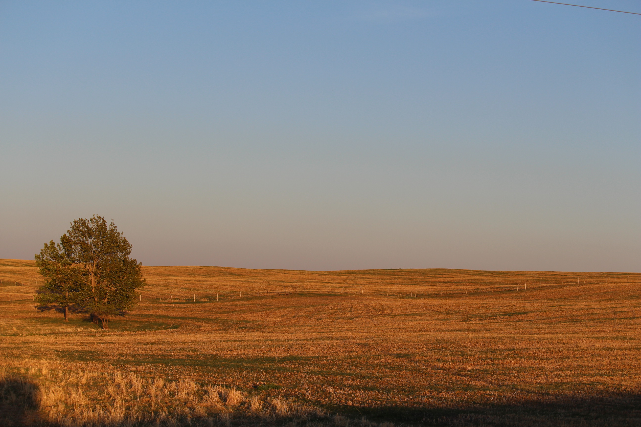 Shifting Sands